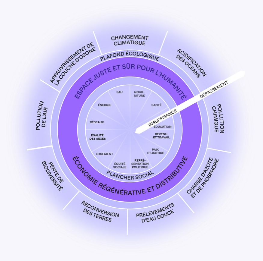 Cadre conceptuel du Donut