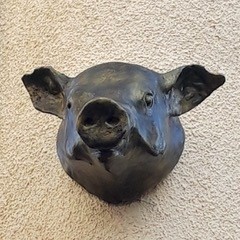 Image de la tête de cochon