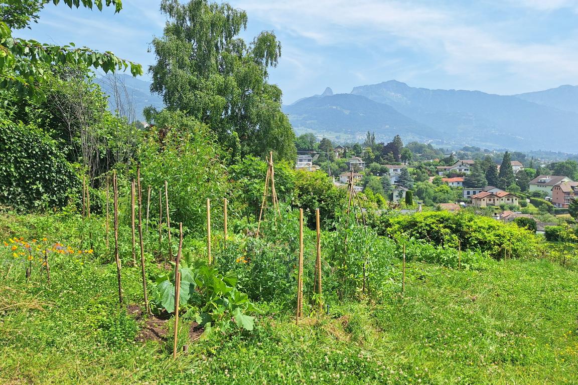 Potager communautaire de l'Obervatoire