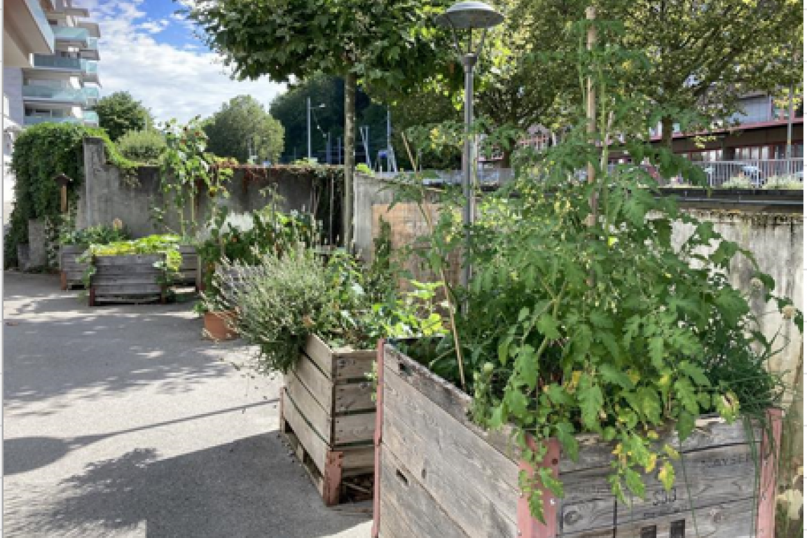 Jardins de poche des Moulins