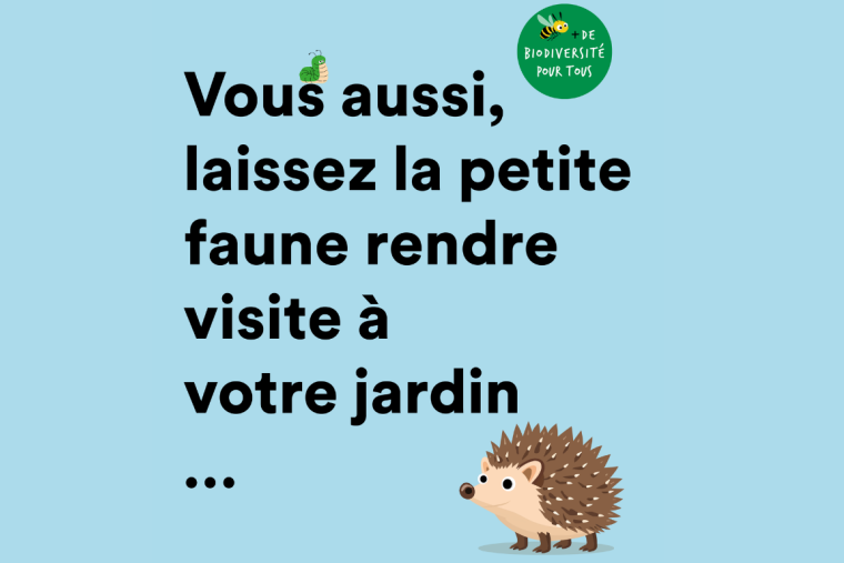 Plus de biodiversité pour toutes et tous
